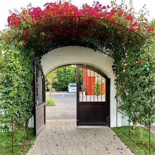 Arch Type Grill Gate - MS